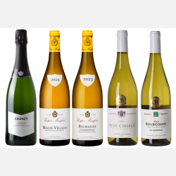 Bourgogne Blanc � 5 Friske og Finesserige Hvidvine