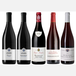 Bourgogne R�dvinsperler � 5 Udvalgte Vine
