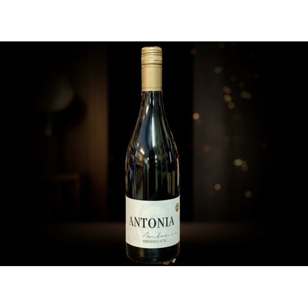 ANTONIA Sp�tburgunder 2021