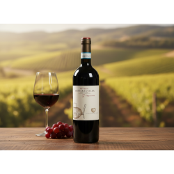 Barbera D�Alba Superiore DOC 2021