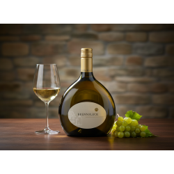 Riesling Steillage S 2021 Trocken