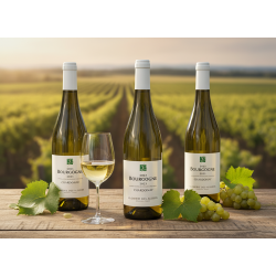  Closerie des alisiers Bourgogne Chardonnay 2024