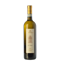 Soave Classico Ca�Visco 2021 (�KO)