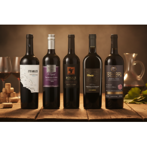 🌅 Californien vs. Puglia 🌄