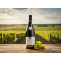 Chablis Grand Cru Bougros 2023