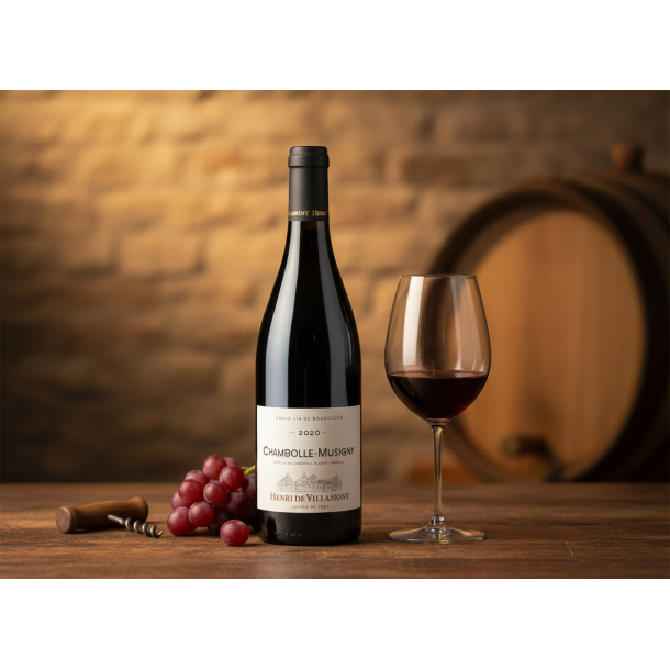 Chambolle Musigny 2020