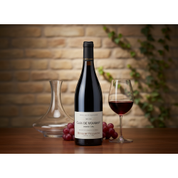 Clos de Vougeot Grand Cru 2012