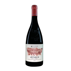 Custodi Etna �tneus MAGNUM, 2011