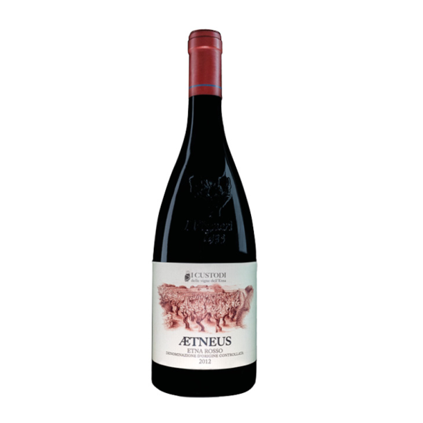 Custodi Etna �tneus MAGNUM, 2011