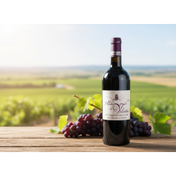  L �clat de Valentin - Saint �milion Grand Cru 2020 (�KO)