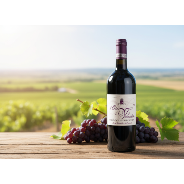  L �clat de Valentin - Saint �milion Grand Cru 2020 (�KO)
