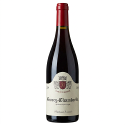 Gevrey Chambertin 2009