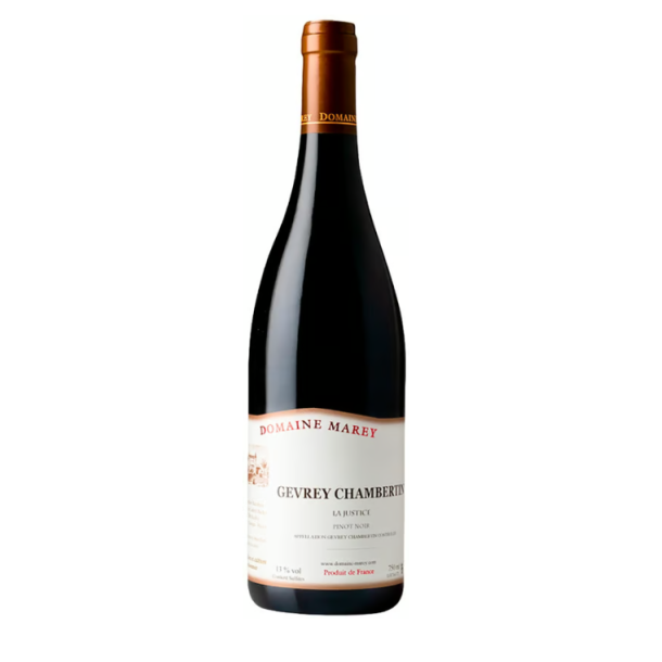 Gevrey Chambertin La Justice 2021