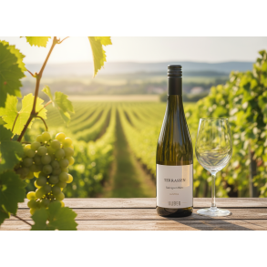 Sauvignon Blanc Terrassen 2024 (�KO)