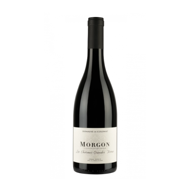 Morgon Les Charmes Grandes Terres 2022