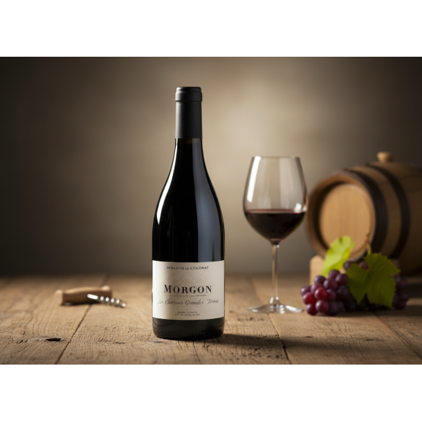 Morgon Les Charmes Grandes Terres 2022