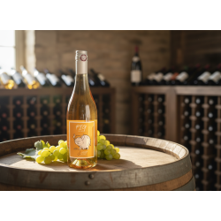 PIG Orange Svine (Spontang�ret)