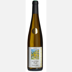Paul Schneider Pinot Gris 2023 
