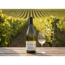  Pernand-Vergelesses Blanc 2020