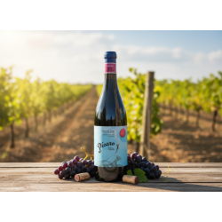Picaro Vi�as Viejas Ribera del Duero 2023 (�KO)