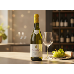 Bourgogne Chardonnay 2023
