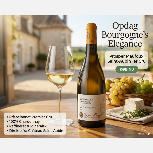 Saint Aubin 1er Cru Les Combes Au Sud 2022