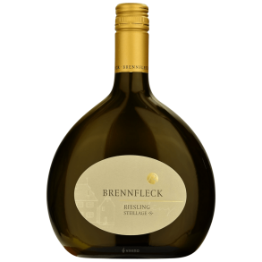 Riesling Steillage S 2021 Trocken