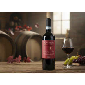 Ripasso Pariondo DOC Classico 2021