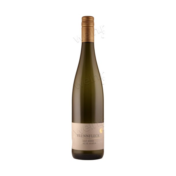 Silvaner, Alte Reben 2022 (Sulzfelder Sonnenberg)