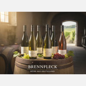 ✨ Smagekasse fra Weingut Brennfleck 
